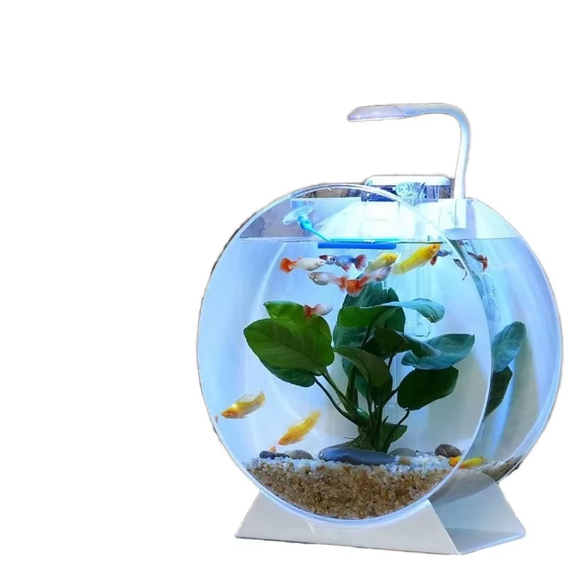 Aquarium Fish Sale - Aquarium de bureau multi-tailles en acrylique,