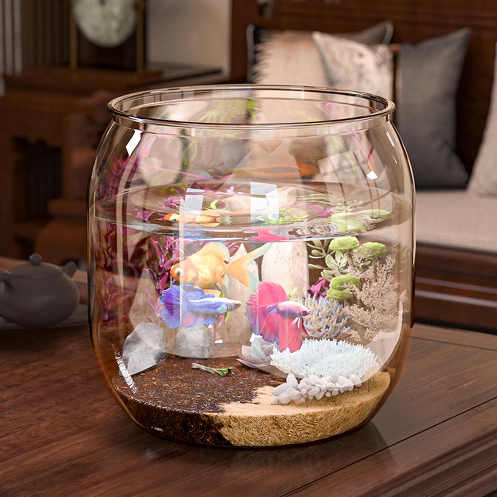 Aquarium Fish Restaurant - Mini aquarium décoratif transparent pour poissons