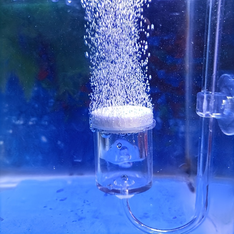 Aquarium Fish Store - Diffuseur d'atomiseur de CO2 en verre