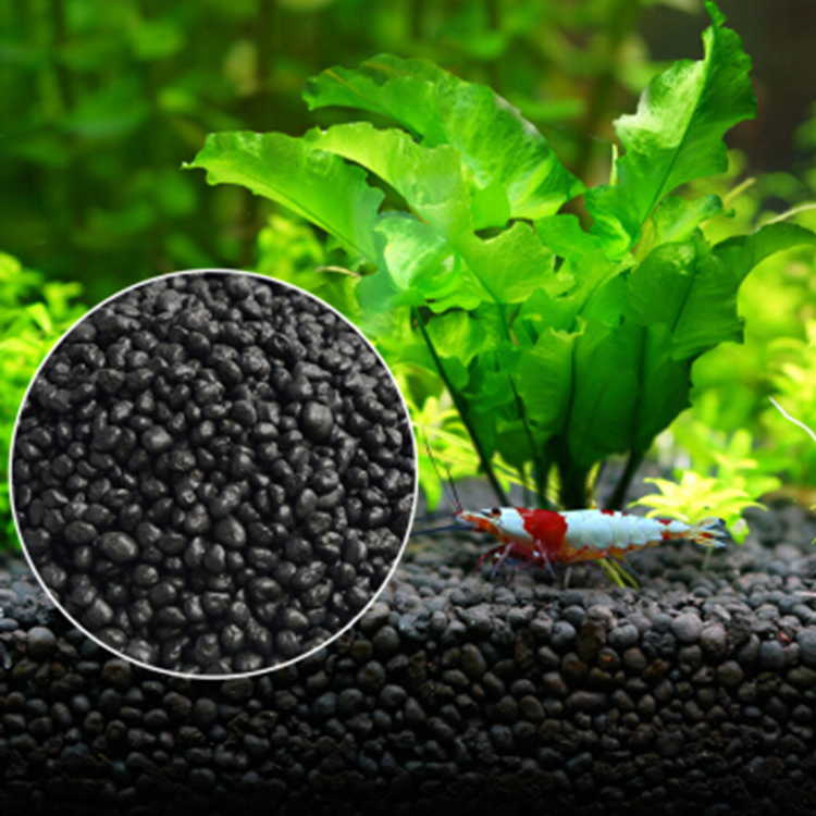 Aquarium Fish Store - Sol de graines de plantes d'aquarium,