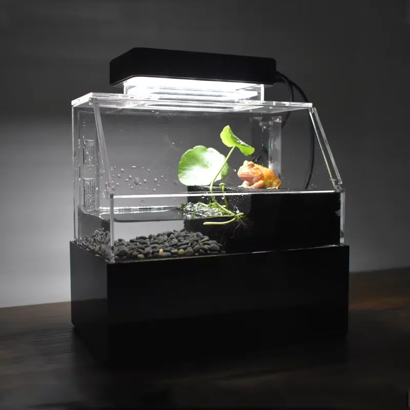 Aquarium Fish Sale - Aquarium de bureau personnalisé Relaxlines, mini