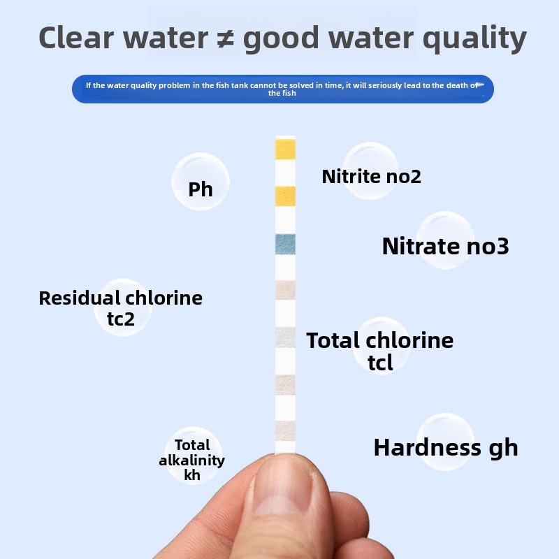 Bandelettes de test d'aquarium - Aquarium Fish Quality avis et prix