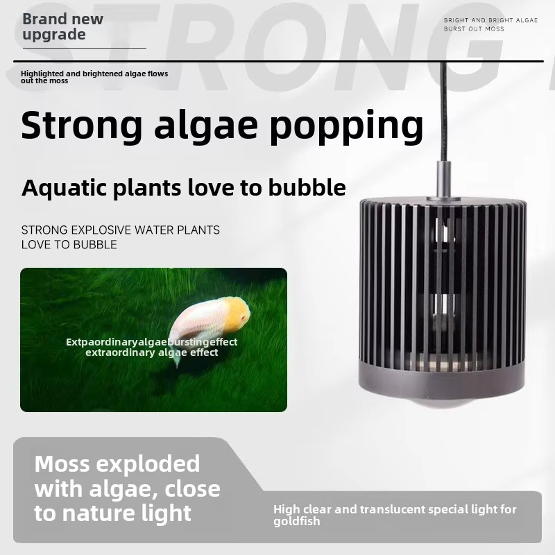 Skynuo Super couleur 100W pois - Aquarium Fish Colour avis et prix