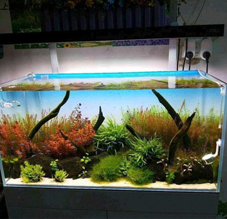Fond de aquarium en acrylique  - Aquarium Fish Colour avis et prix