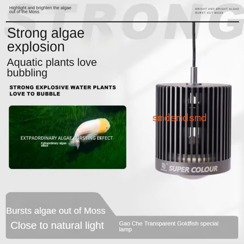 Super couleur 100W eau douce p - Aquarium Fish Colour avis et prix