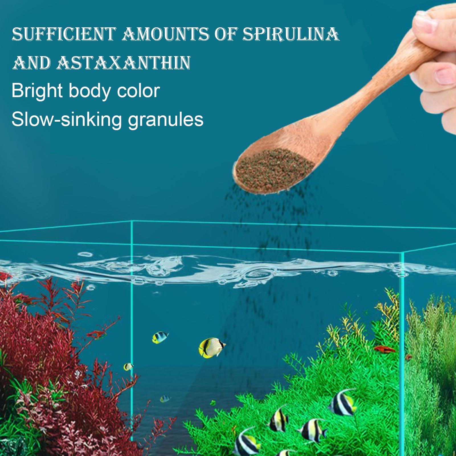 Nourriture pour poissons Betta - Aquarium Fish Restaurant avis et prix