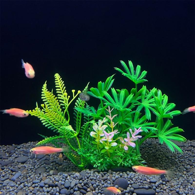 Décoration d'aquarium artifici - Aquarium Fish Sale avis et prix