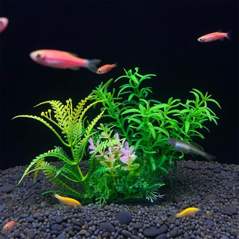 Décoration d'aquarium artifici - Aquarium Fish Sale avis et prix
