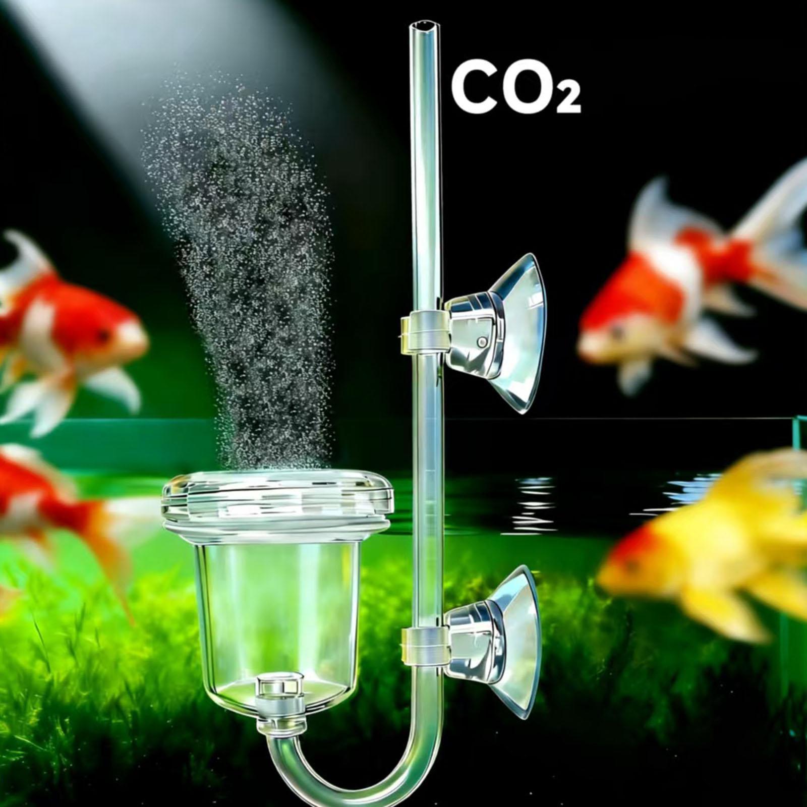 Diffuseur de CO2 transparent a - Co2 Diffuser Planted avis et prix