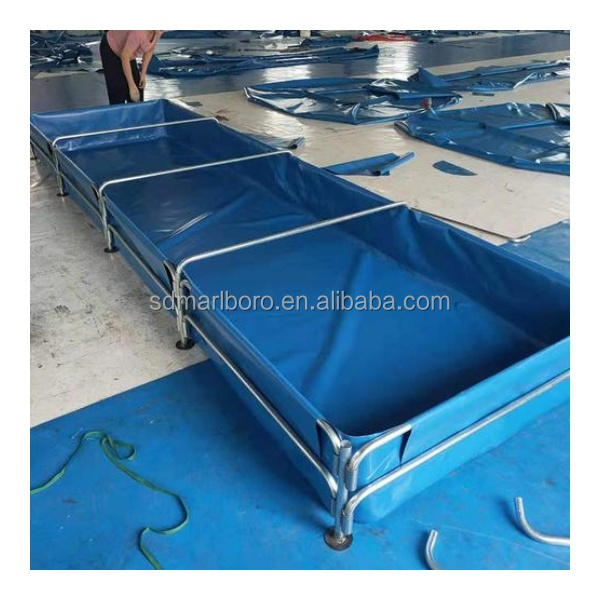 Aquariums carrés transparents  - Aquarium Fish Sale avis et prix