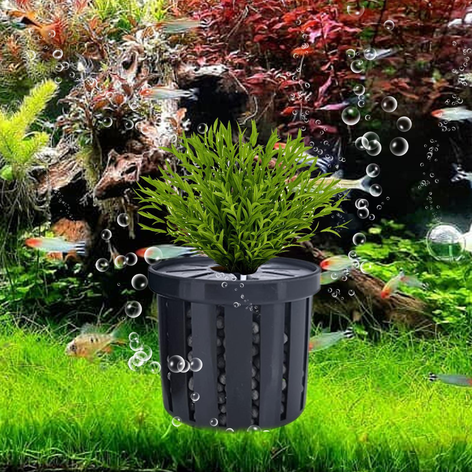 Lot de 4 paniers porte-plantes - Aquarium Fish Restaurant avis et prix