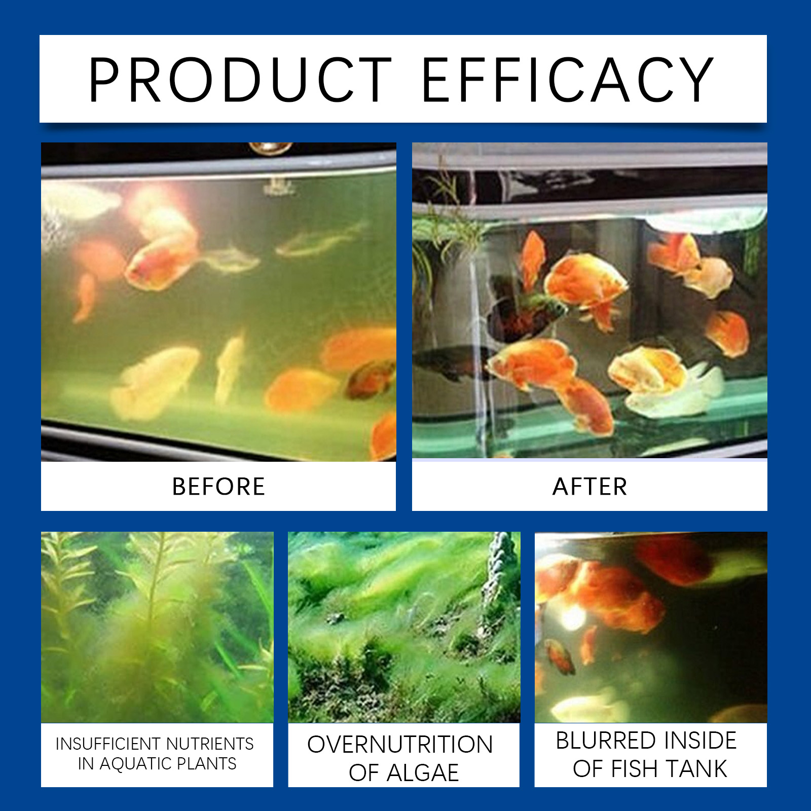 Chiarificateur d'eau d'aquariu - Aquarium Fish Quality avis et prix