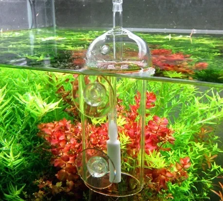 VIV Do-Dispositif d'Intervalle - Aquarium Fish Store avis et prix