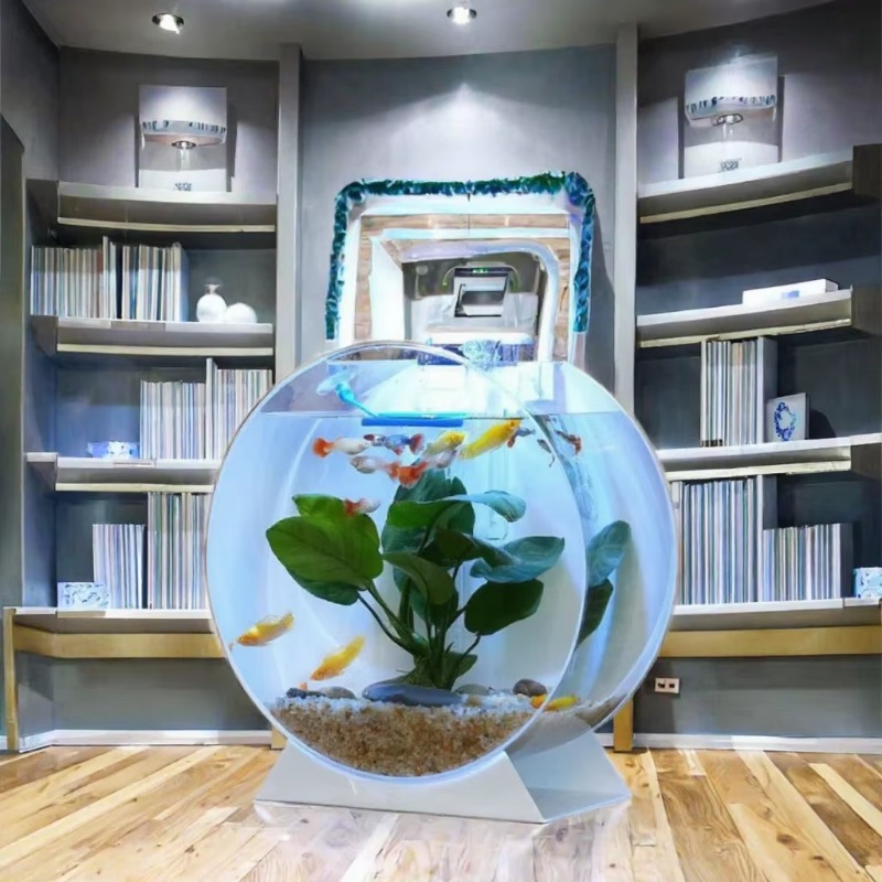 Aquarium de bureau multi-taill - Aquarium Fish Sale avis et prix