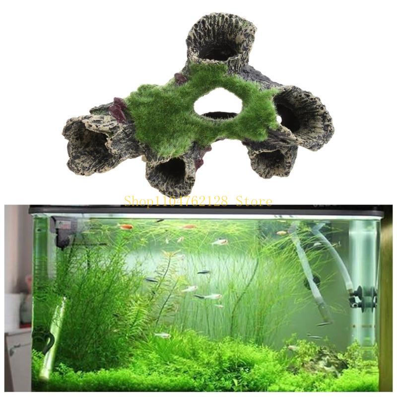 Poisson pour décoration d'aqua - Aquarium Fish Sale avis et prix