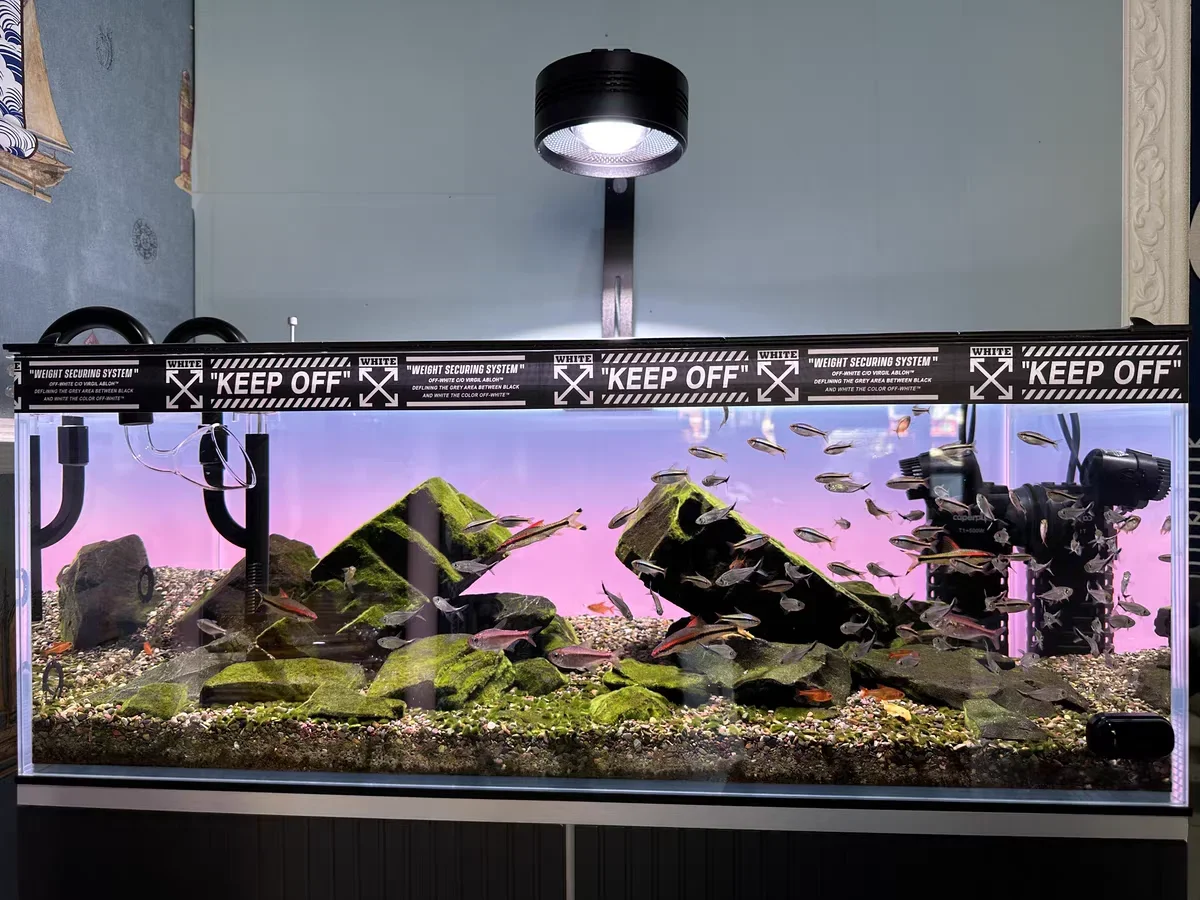 Décor de fond d'aquarium en ac - Aquarium Fish Colour avis et prix