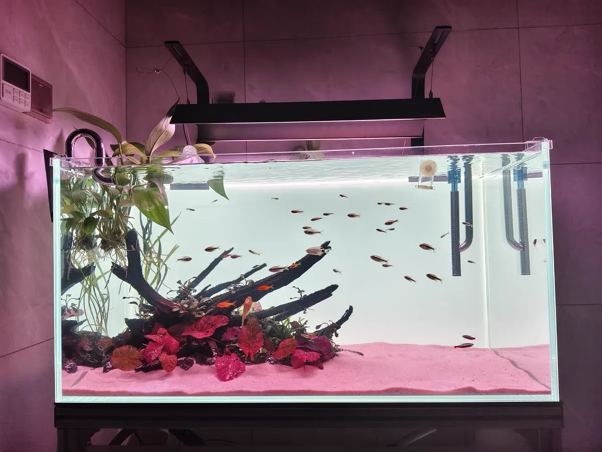 Décor de fond d'aquarium en ac - Aquarium Fish Colour avis et prix