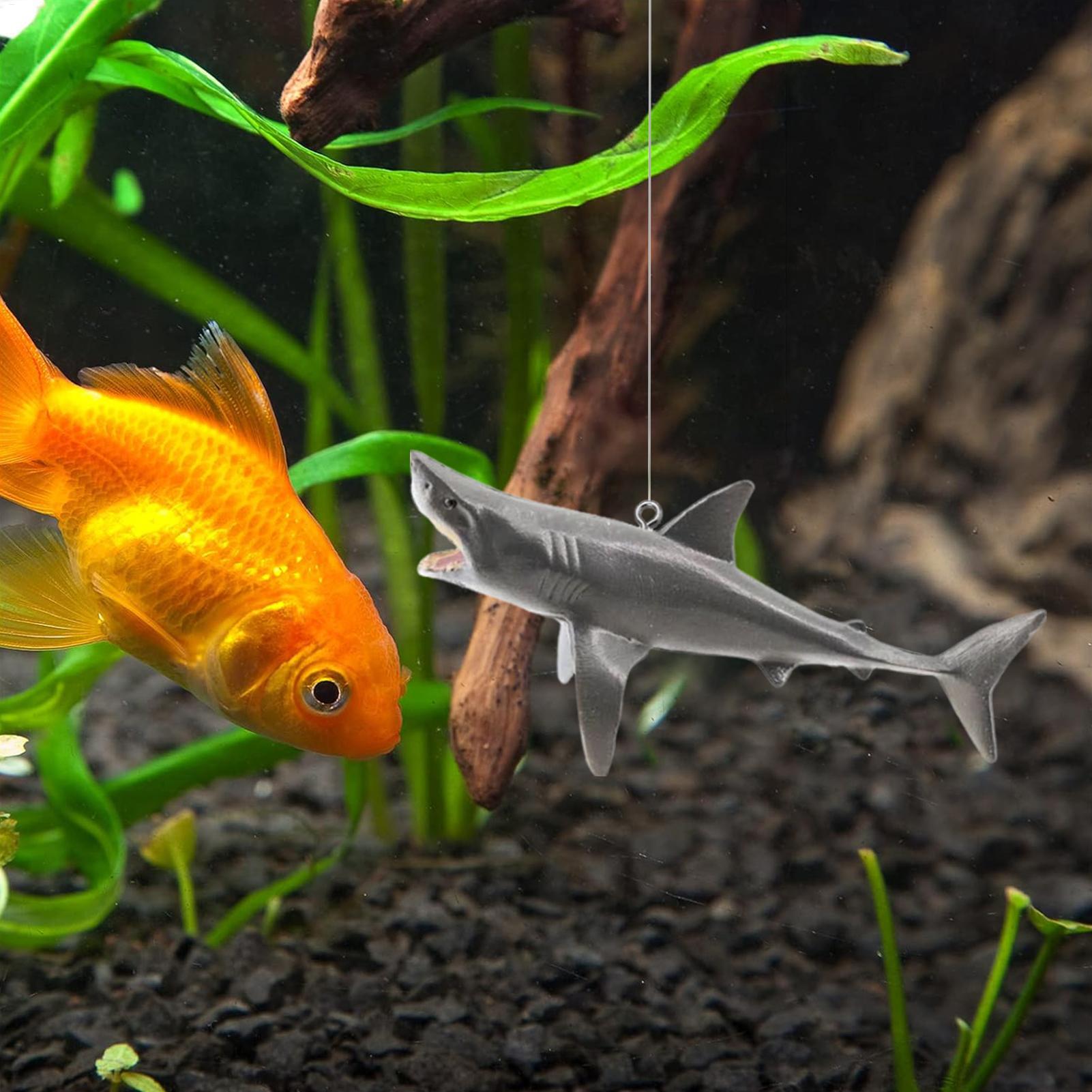 Décoration de paysage d'aquari - Aquarium Fish Shark avis et prix