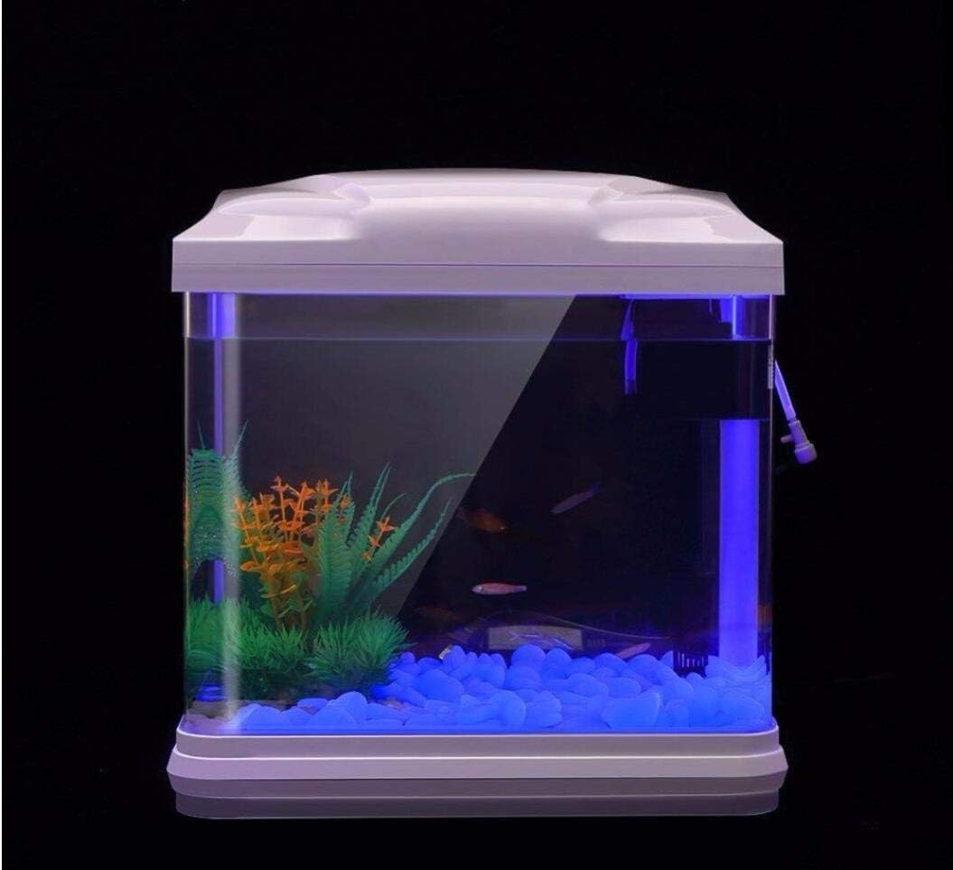 Roches d'aquarium scintillante - Aquarium Fish Store avis et prix