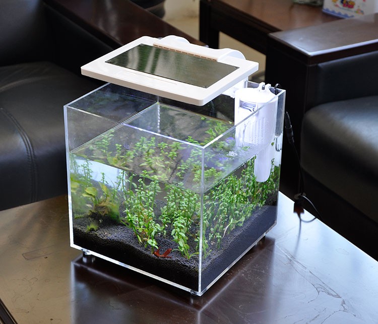 Mini aquarium en acrylique (25 - Aquarium Fish Sale avis et prix