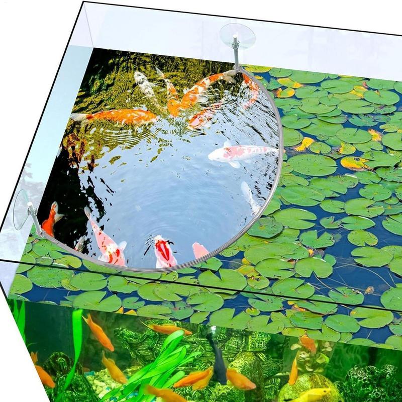 Anneau d'alimentation pour poi - Aquarium Fish Quality avis et prix