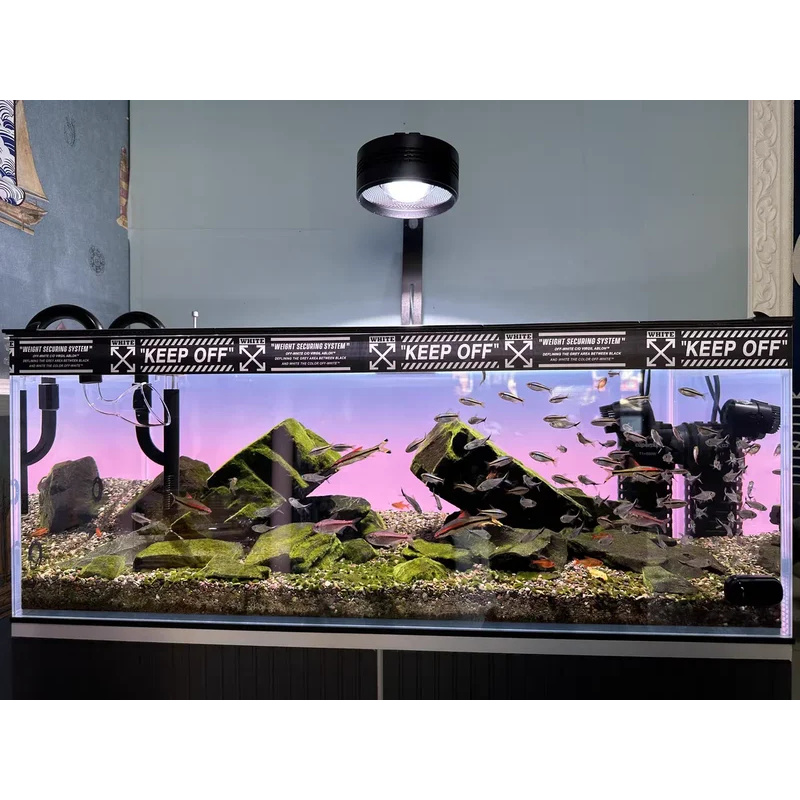 Décor de fond d'aquarium en ac - Aquarium Fish Colour avis et prix
