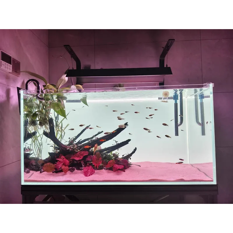 Décor de fond d'aquarium en ac - Aquarium Fish Colour avis et prix