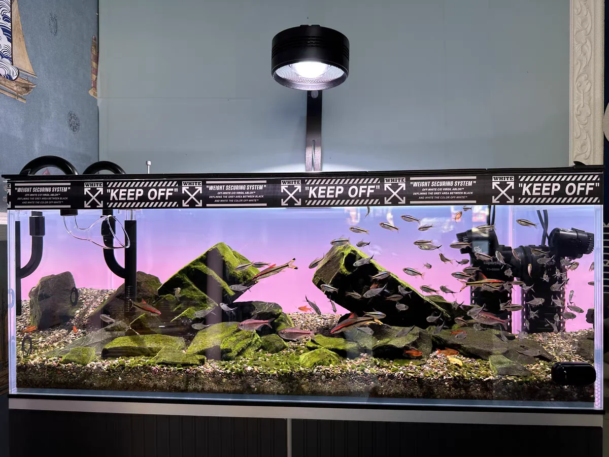 Toile de fond en acrylique RGB - Aquarium Fish Colour avis et prix