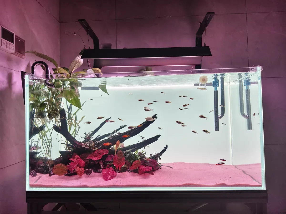 Toile de fond en acrylique RGB - Aquarium Fish Colour avis et prix