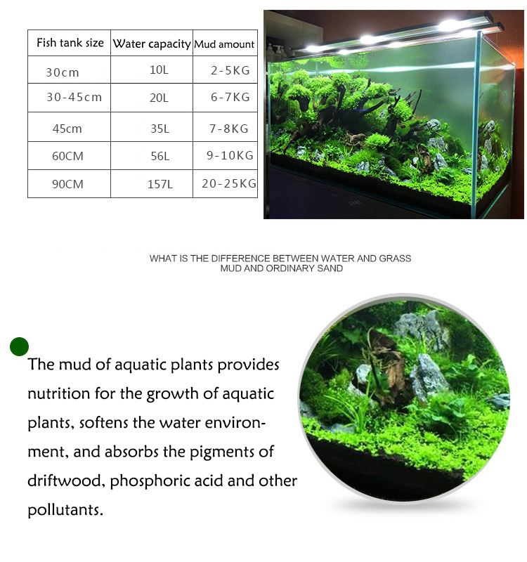Sol de graines de plantes d'aq - Aquarium Fish Store avis et prix