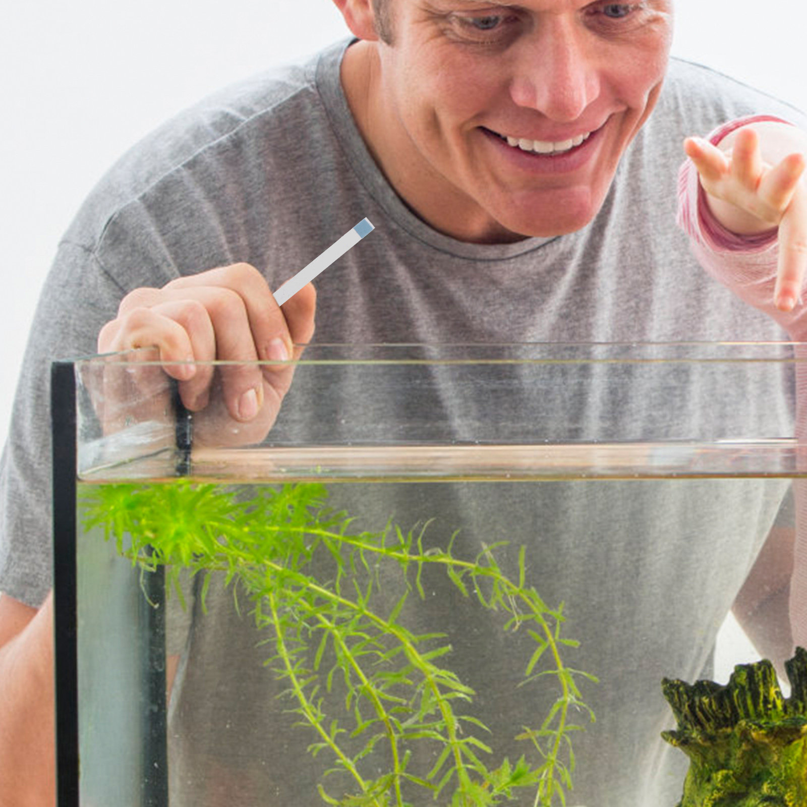 Bandes de test pour piscine, b - Aquarium Fish Quality avis et prix