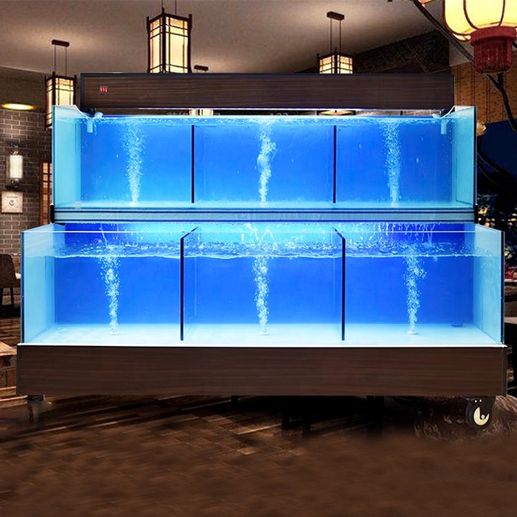 Système d'exploitation intelli - Aquarium Fish Restaurant avis et prix