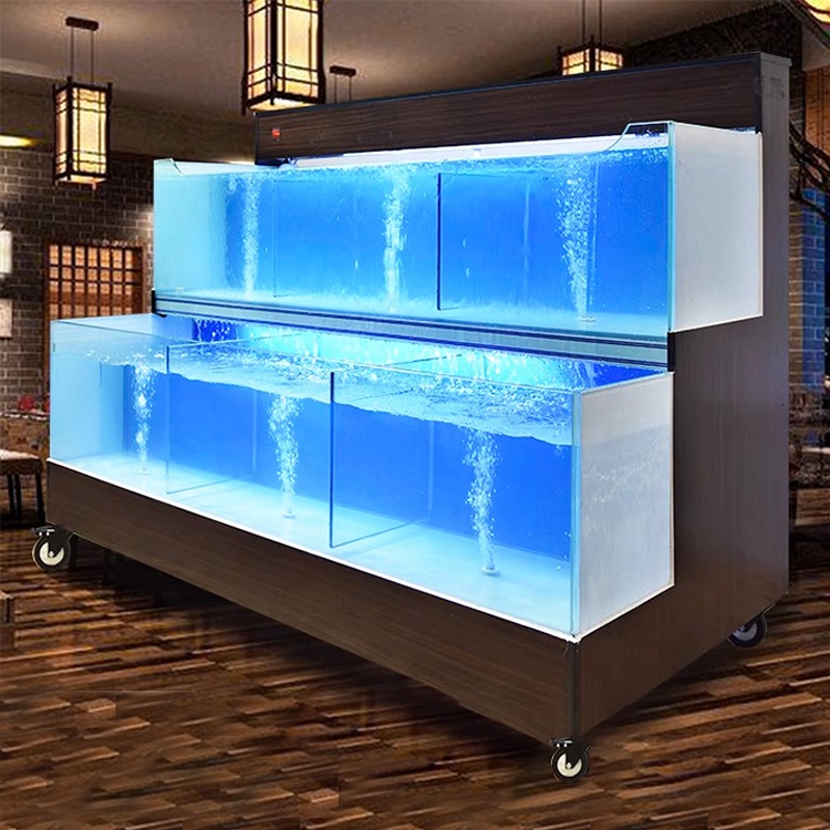 Système d'exploitation intelli - Aquarium Fish Restaurant avis et prix