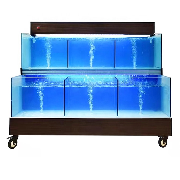 Système d'exploitation intelli - Aquarium Fish Restaurant avis et prix