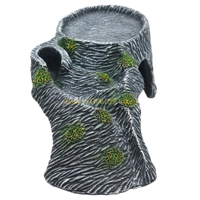 Terrariums plate-forme lézarda - Aquarium Fish Sale avis et prix