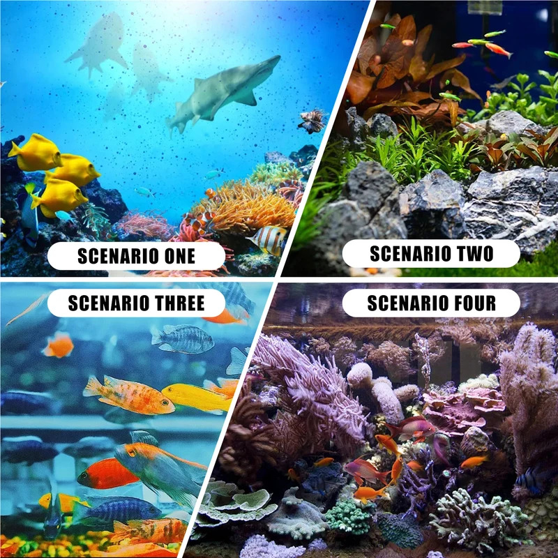 Simulation de corail d'aquariu - Aquarium Fish Colour avis et prix