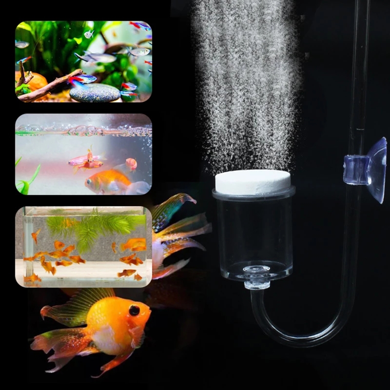 Diffuseur de CO2 pour aquarium - Aquarium Fish Store avis et prix