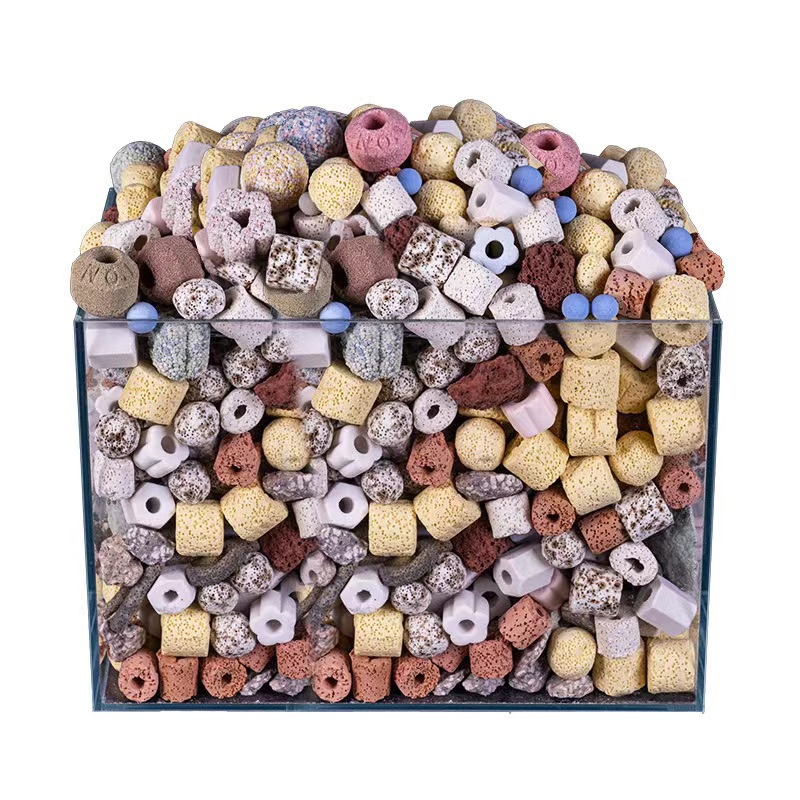 250g 500g 1000g 14 Types Aquar - Aquarium Fish Sale avis et prix