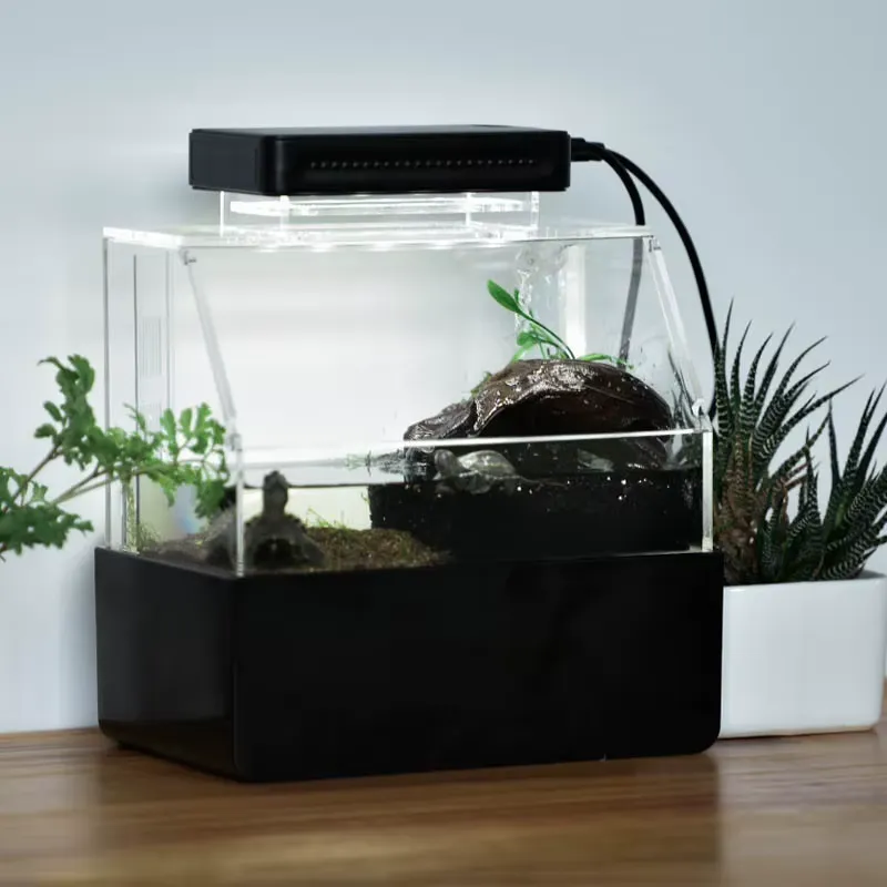Aquarium de bureau personnalis - Aquarium Fish Sale avis et prix