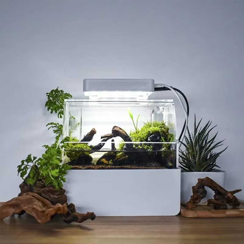 Aquarium de bureau personnalis - Aquarium Fish Sale avis et prix